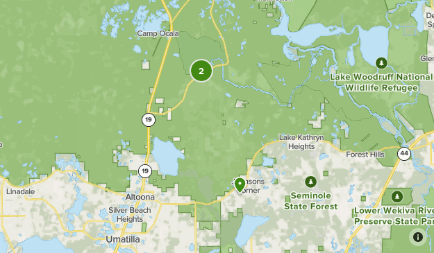 Ocala National Forest List - Lists 21461217 20220920192748000000 625x365 1