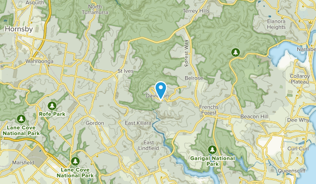 Davidson, New South Wales Map