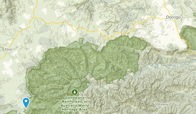 Dorrigo, New South Wales Map