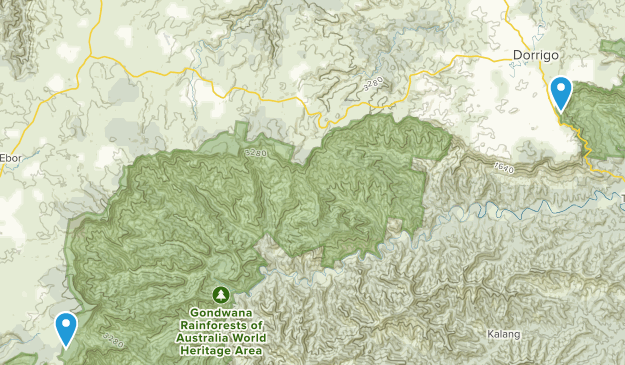 Dorrigo, New South Wales Map