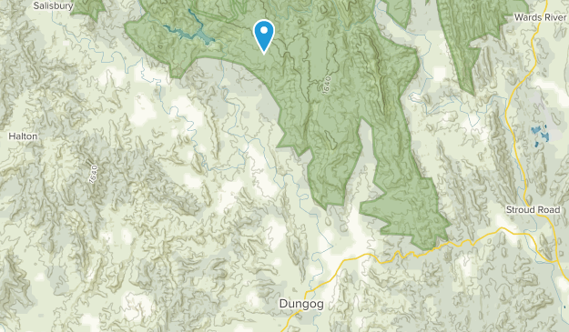 Dungog, New South Wales Map