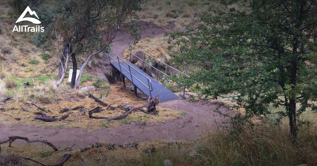 Best Forest Trails in East Jindabyne AllTrails