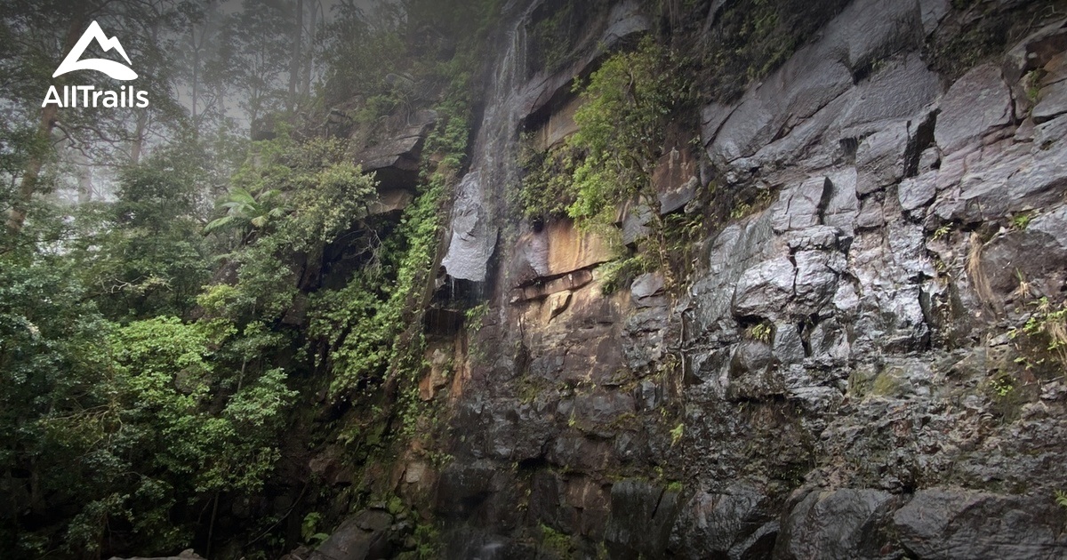 Best Waterfall Trails in Glenreagh AllTrails