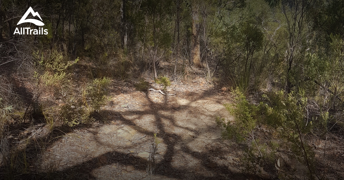 Best trails in Kurrajong, New South Wales AllTrails