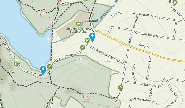 Manly Vale, New South Wales Map