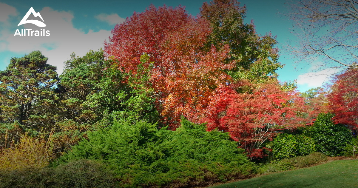 Best hikes and trails in Mount Tomah AllTrails