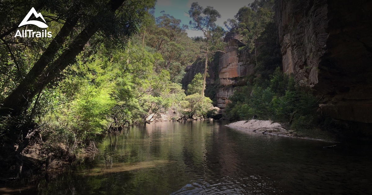 10 Best trails and hikes in Mount Wilson | AllTrails