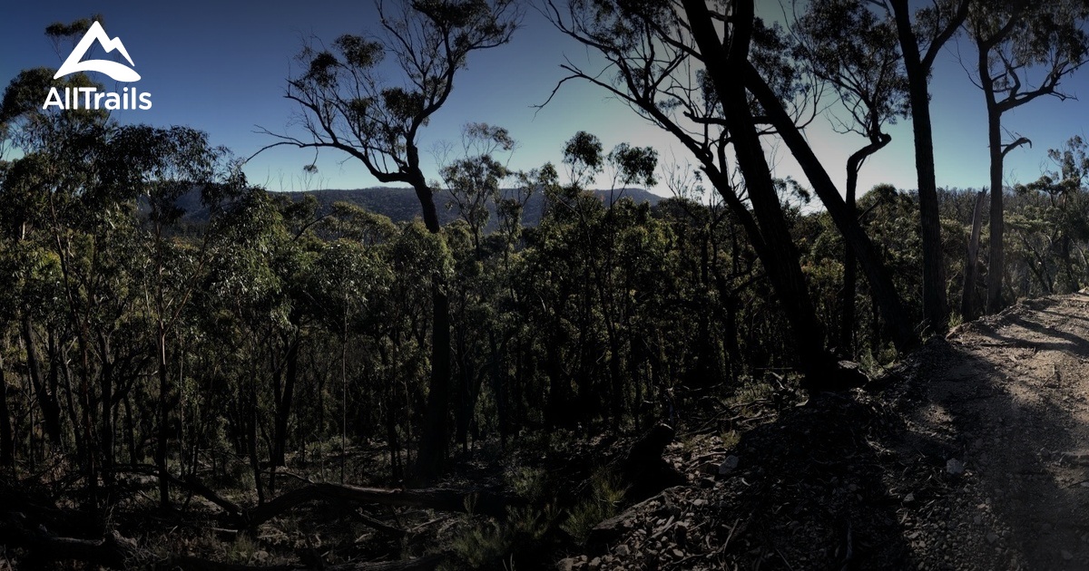 Best hikes and trails in Palerang | AllTrails