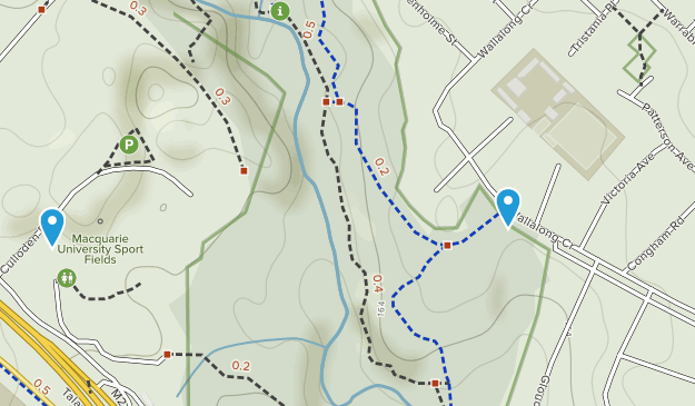 West Pymble, New South Wales Map