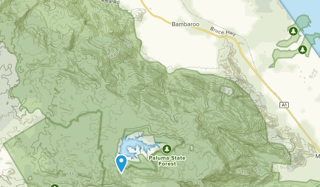 Bambaroo, Queensland Map
