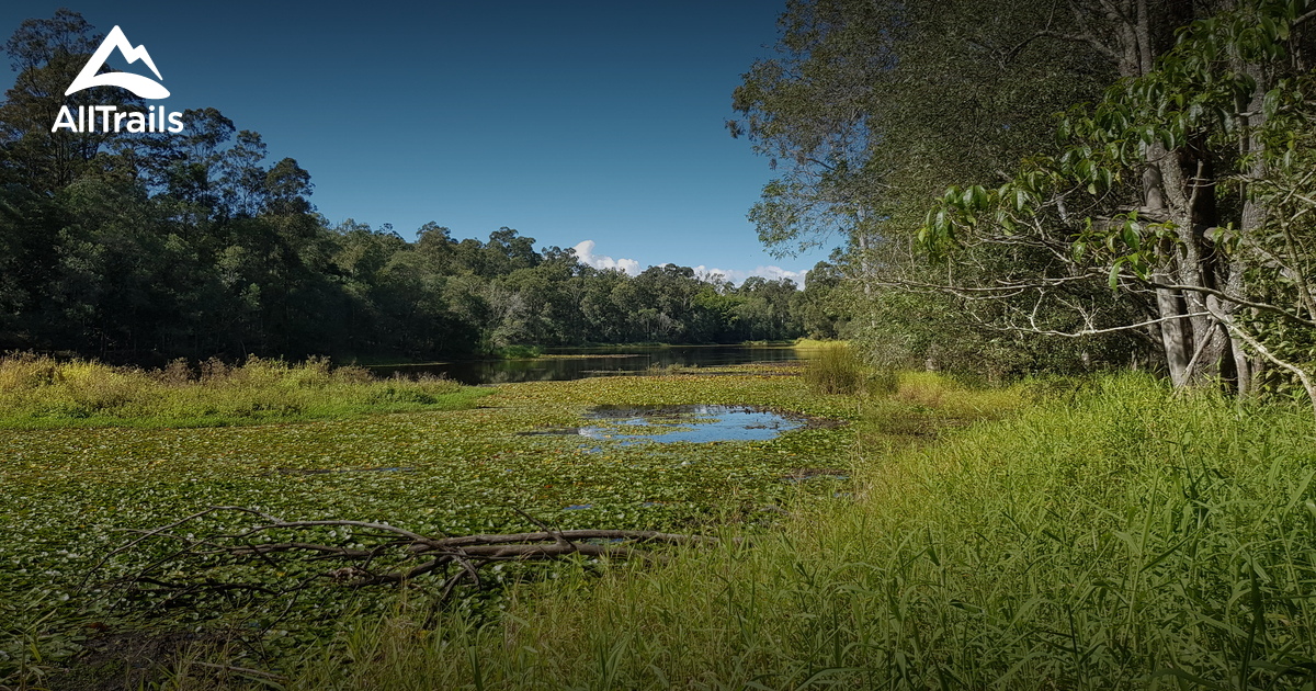 Best 10 Walking Trails in Brisbane | AllTrails