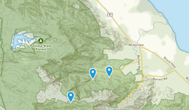 Coolbie, Queensland Map