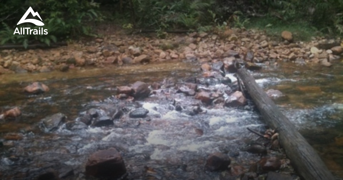 Best Trails near Koombooloomba, Queensland Australia AllTrails