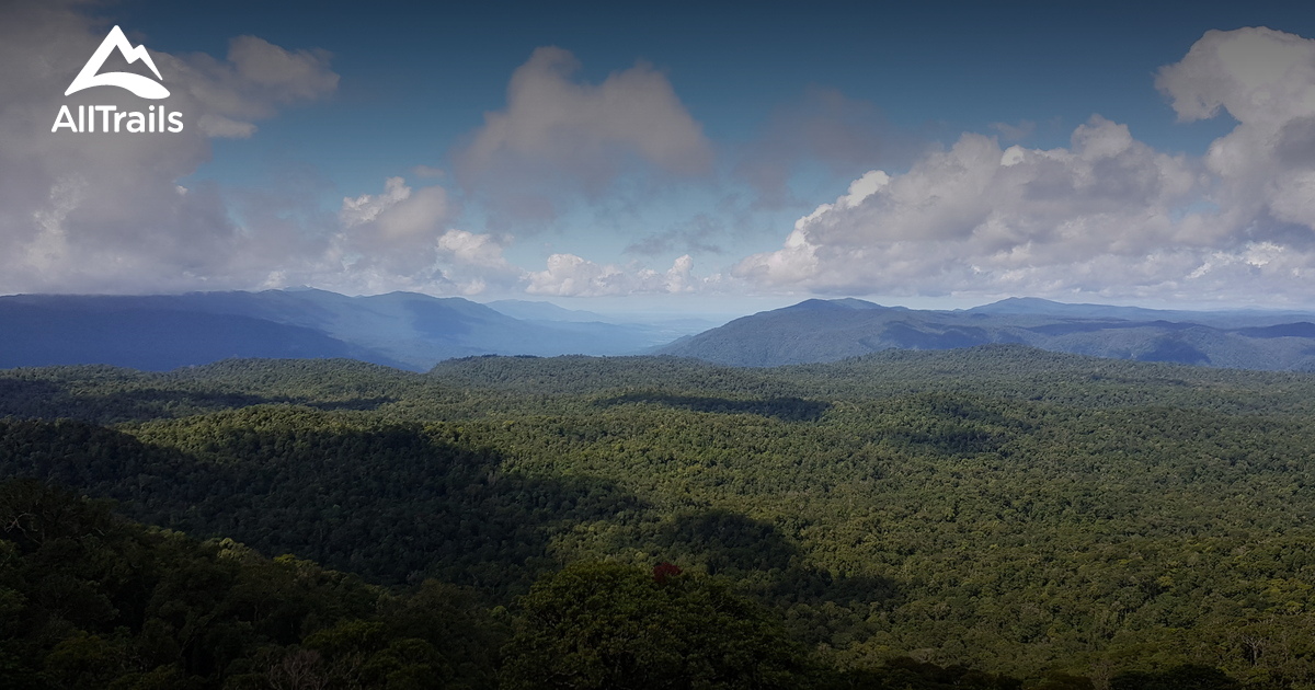 Best walking trails in Koombooloomba AllTrails