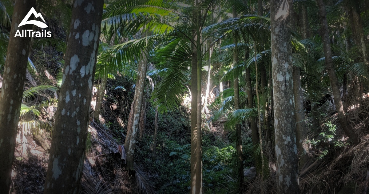 Best hikes and trails in Ravensbourne AllTrails