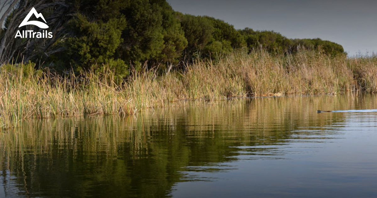Best hikes and trails in Clayton Bay AllTrails