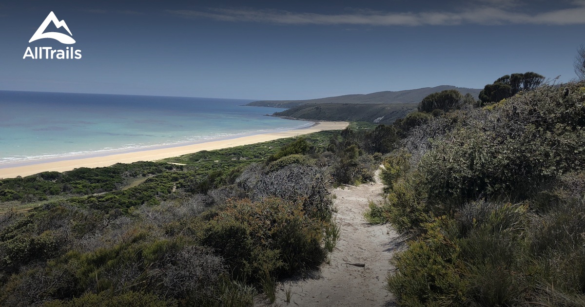10 Best trails and hikes in Bakers Beach AllTrails