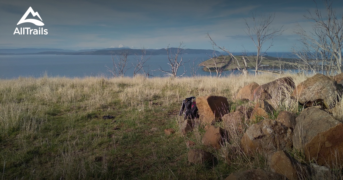 Best Beach Trails in Cremorne | AllTrails