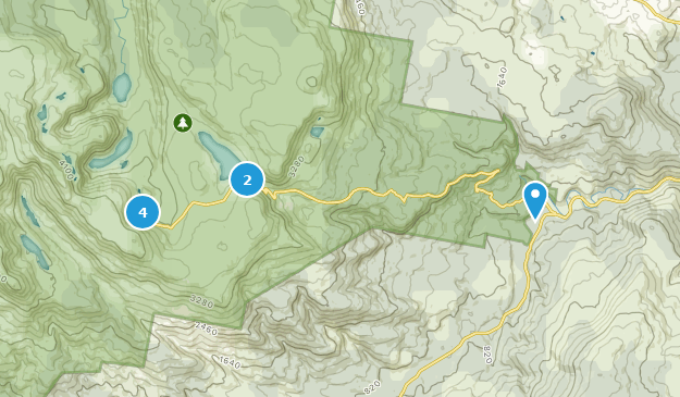 Mount Field, Tasmanie Map