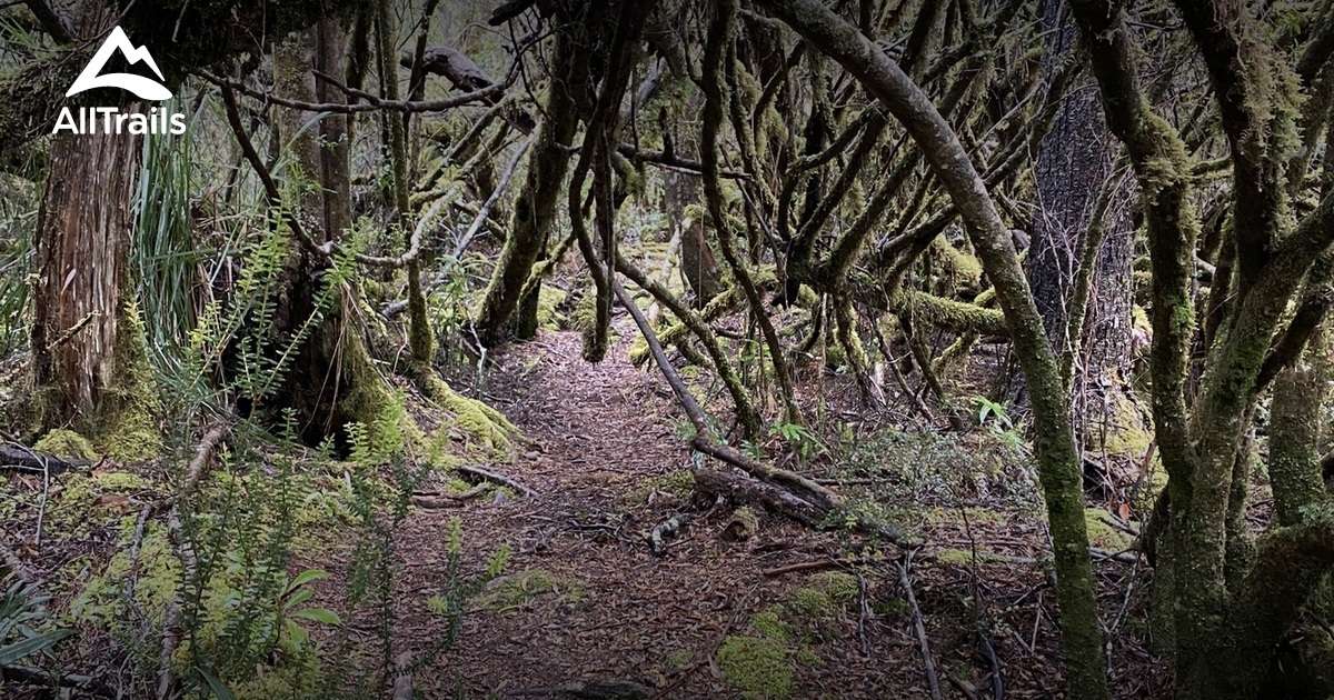 Best hikes and trails in Strathgordon AllTrails