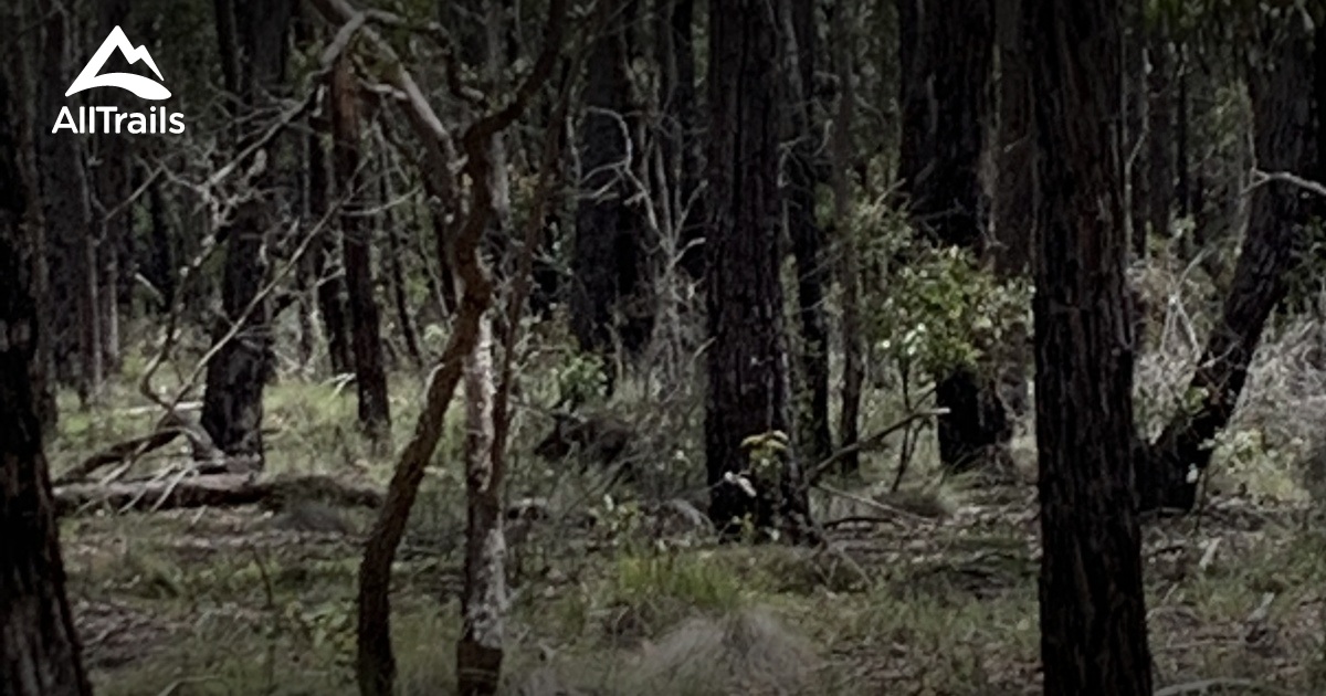 Best camping trails in Balliang | AllTrails