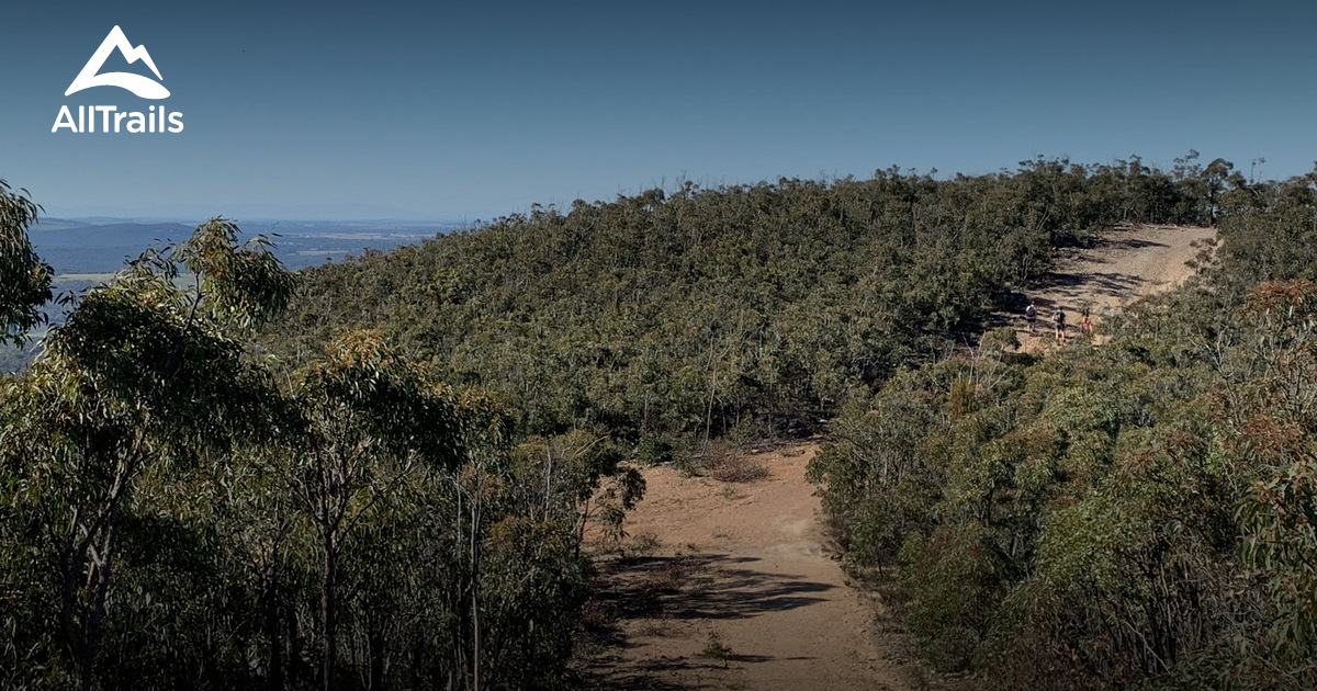 Best forest trails in Myrniong AllTrails
