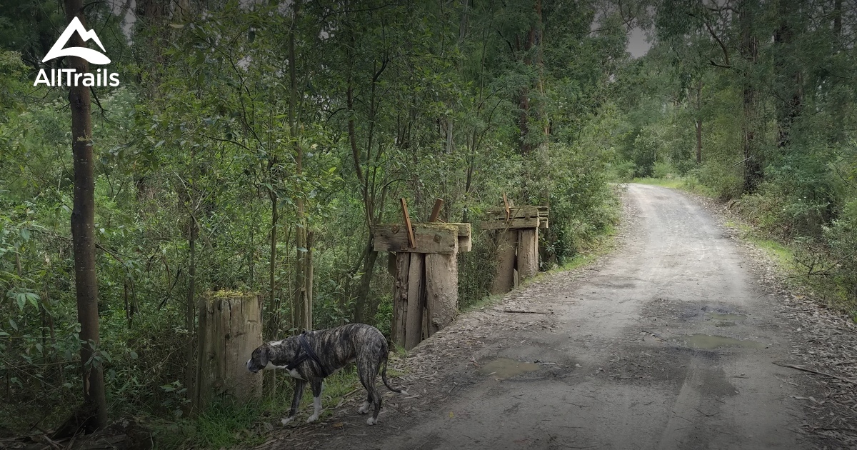 Best Hikes and Trails in Rokeby AllTrails