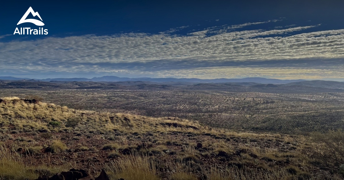 Best wildflower trails in Paraburdoo | AllTrails