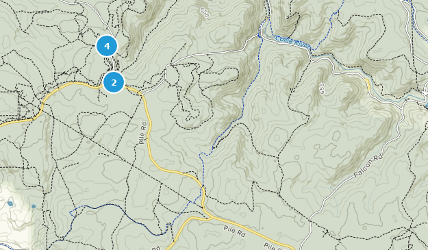 Wellington Forest, Australie-Occidentale Map