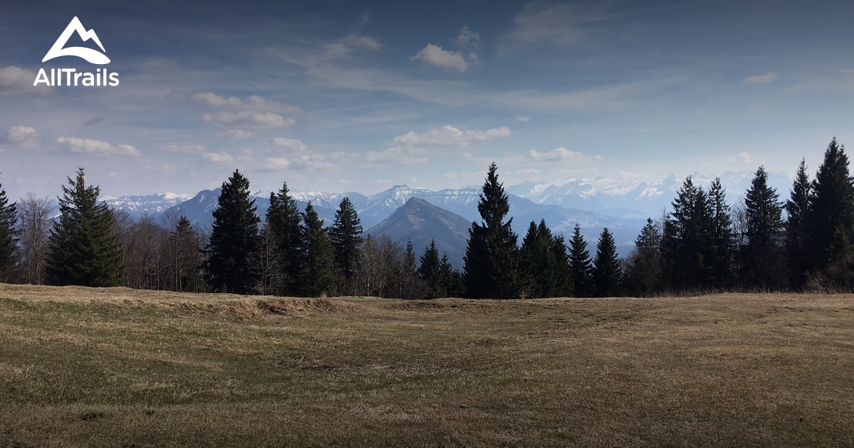 Best hikes and trails in Koppl | AllTrails