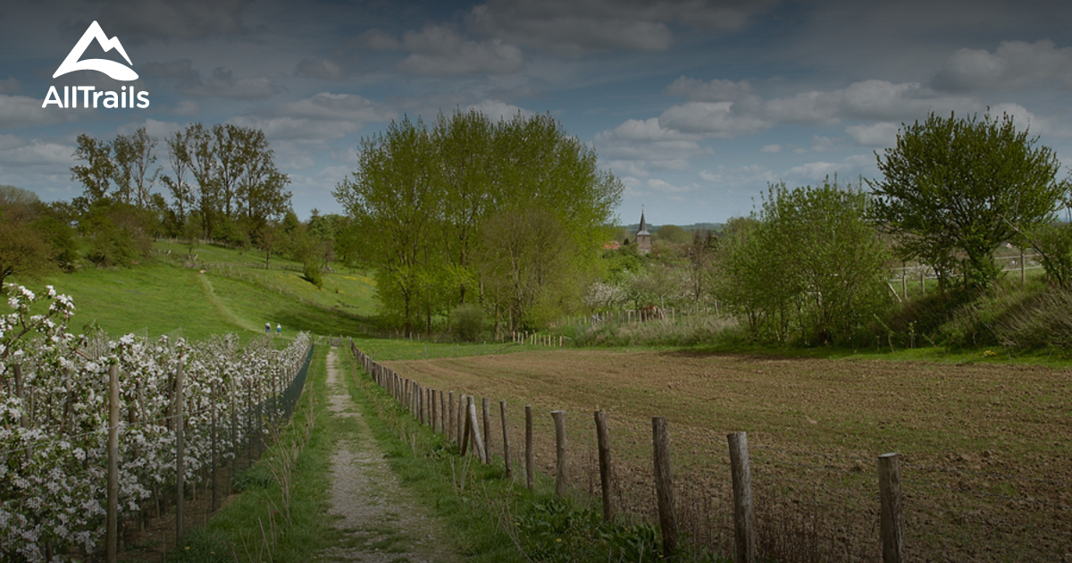 De 10 beste wandelroutes om te wandelen in Borgloon | AllTrails