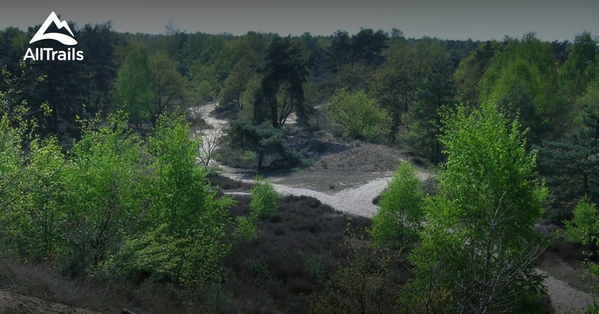 Dilsen De 10 beste wandelroutes om te wandelen in Dilsen-Stokkem | AllTrails