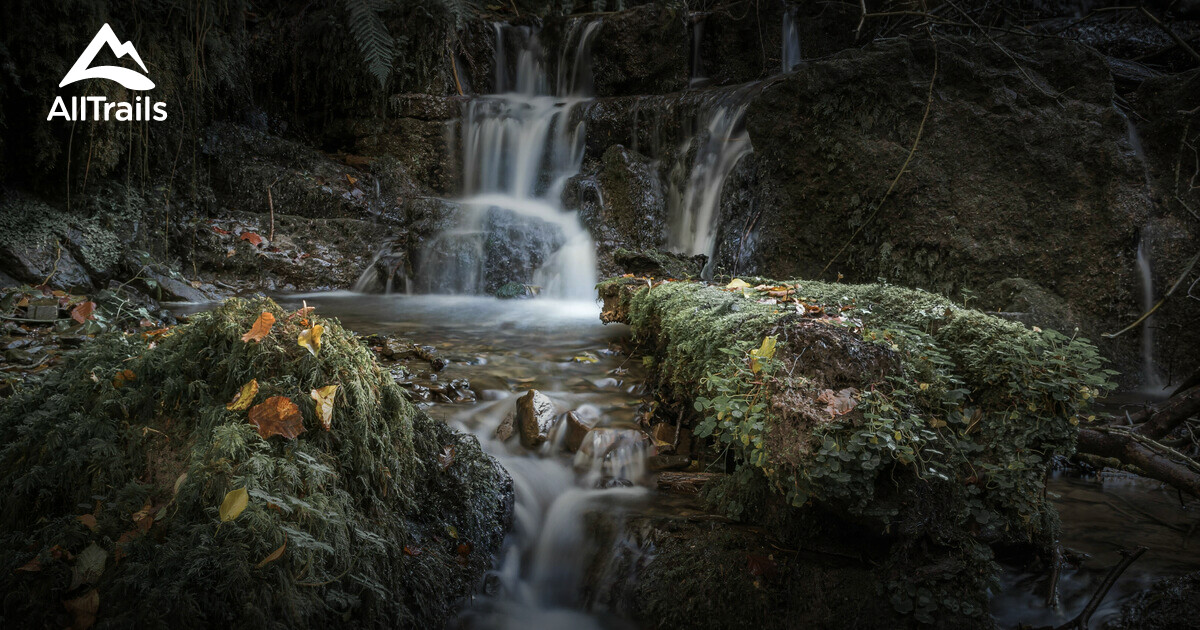 10 Best trails and hikes in Dinant | AllTrails