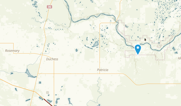 County Of Newell, Alberta Map