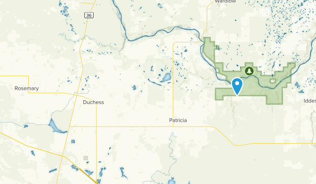 County Of Newell, Alberta Map