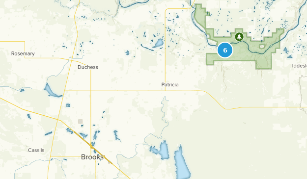 County Of Newell, Alberta Map