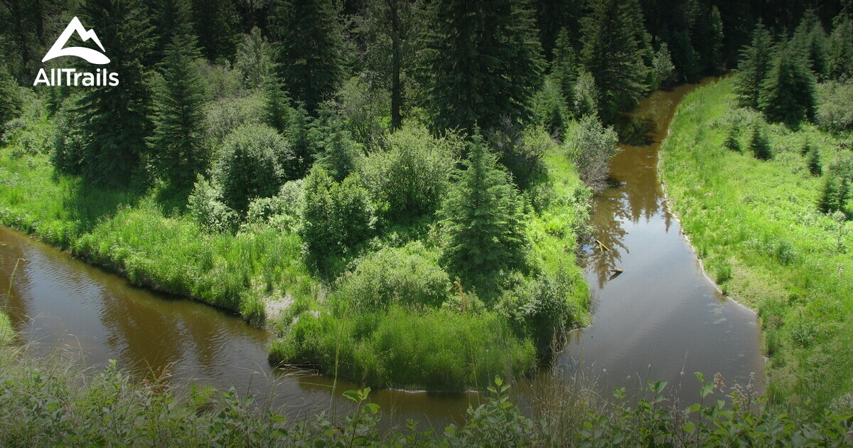 Best hikes and trails in County Of Wetaskiwin No. 10 AllTrails