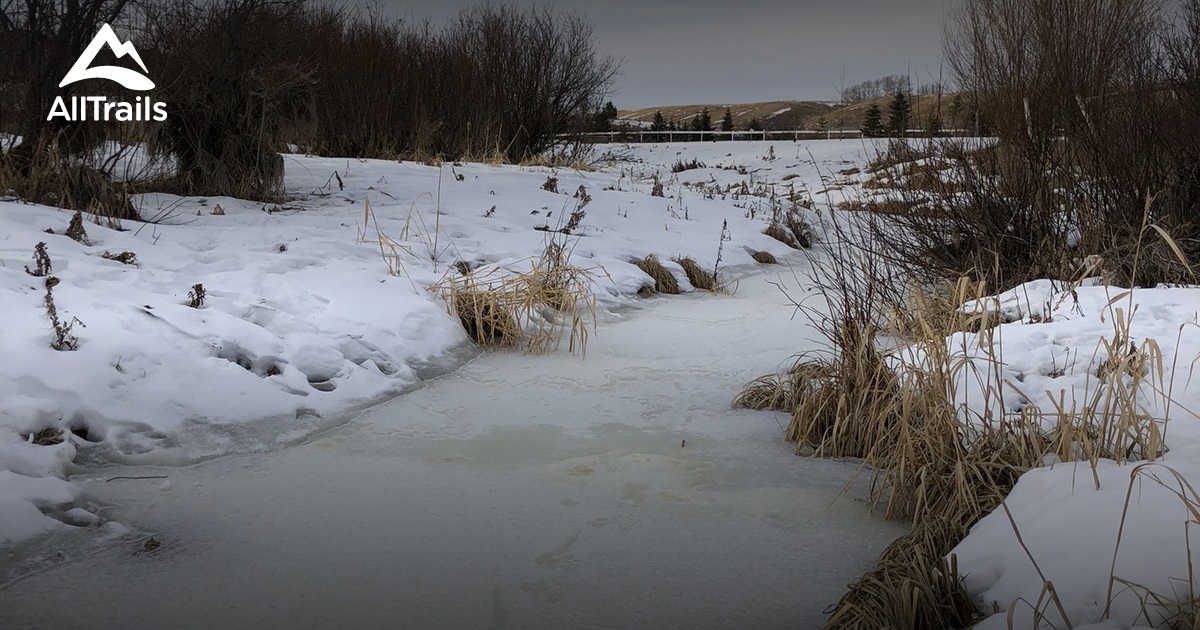 Best hikes and trails in Didsbury AllTrails