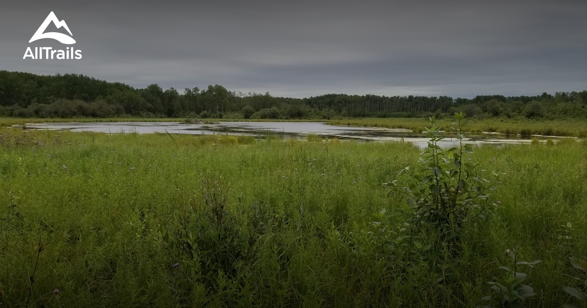 Best hikes and trails in New Sarepta AllTrails