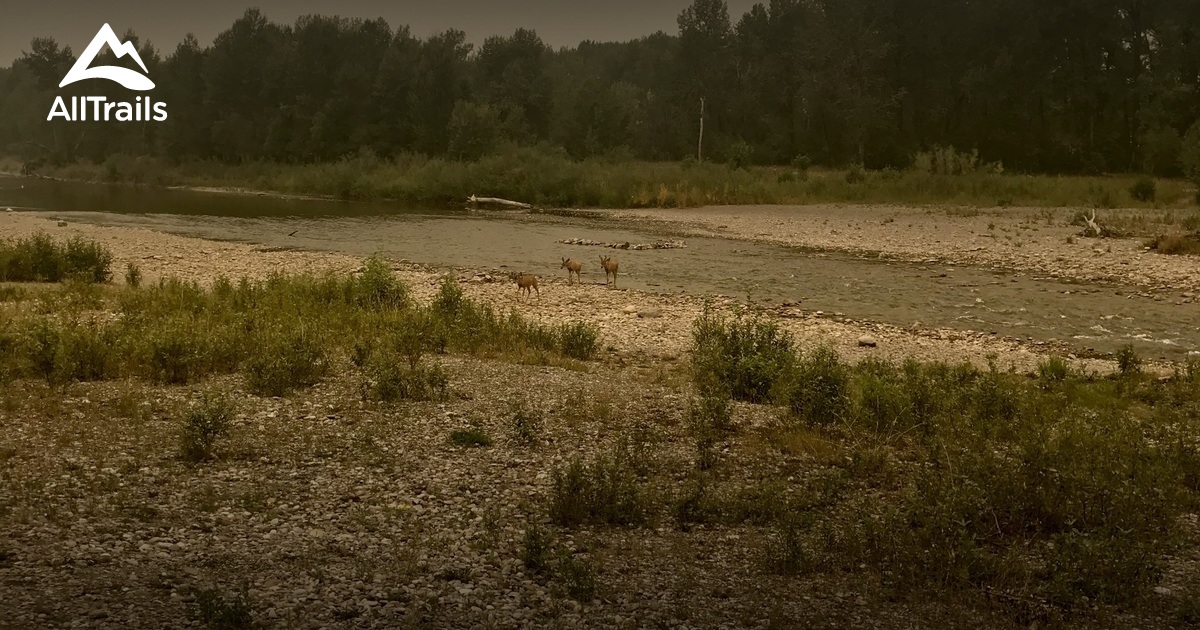 Best Trails near Okotoks, Alberta Canada | AllTrails