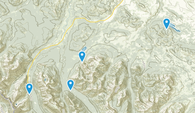 Pincher Creek No. 9, Alberta Map