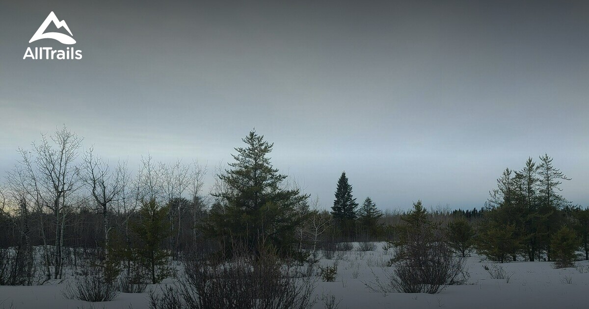 Best hikes and trails in Redwater AllTrails