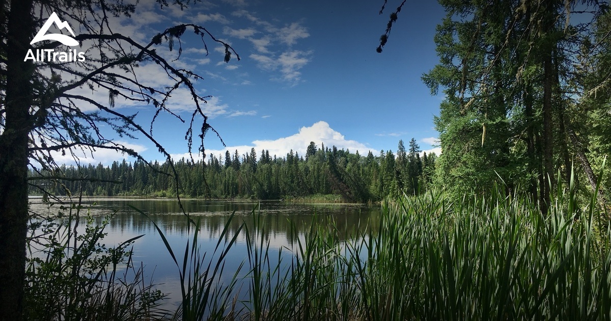 Best Trails near Rocky Mountain House, Alberta Canada AllTrails