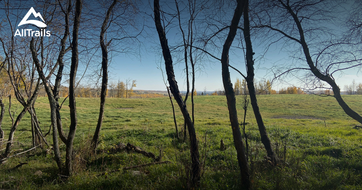 Best hikes and trails in Westlock County AllTrails