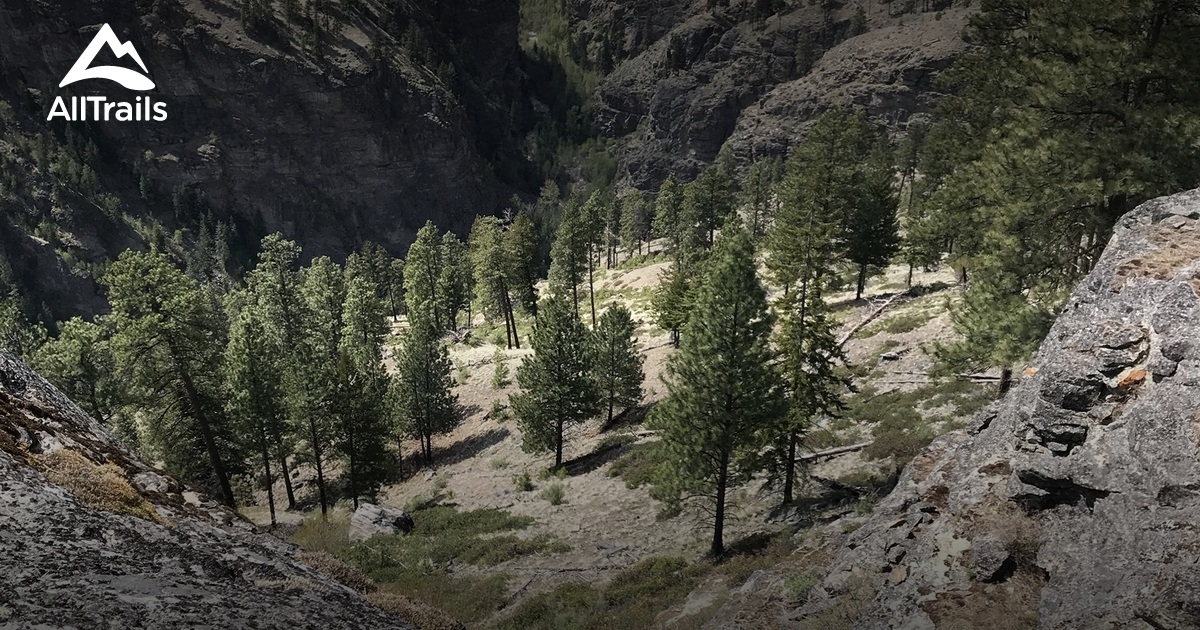Best hikes and trails in Beaverdell | AllTrails