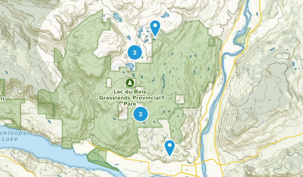 Brocklehurst, British Columbia Map