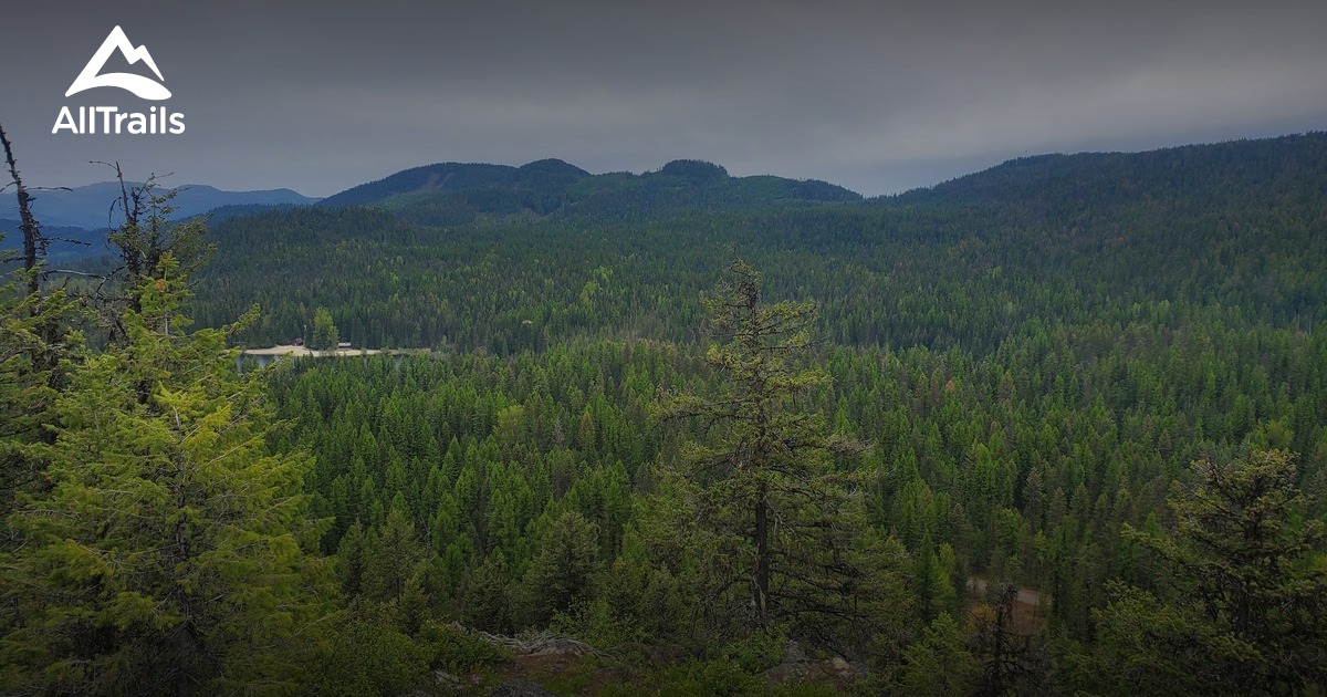 Best hikes and trails in Fruitvale AllTrails