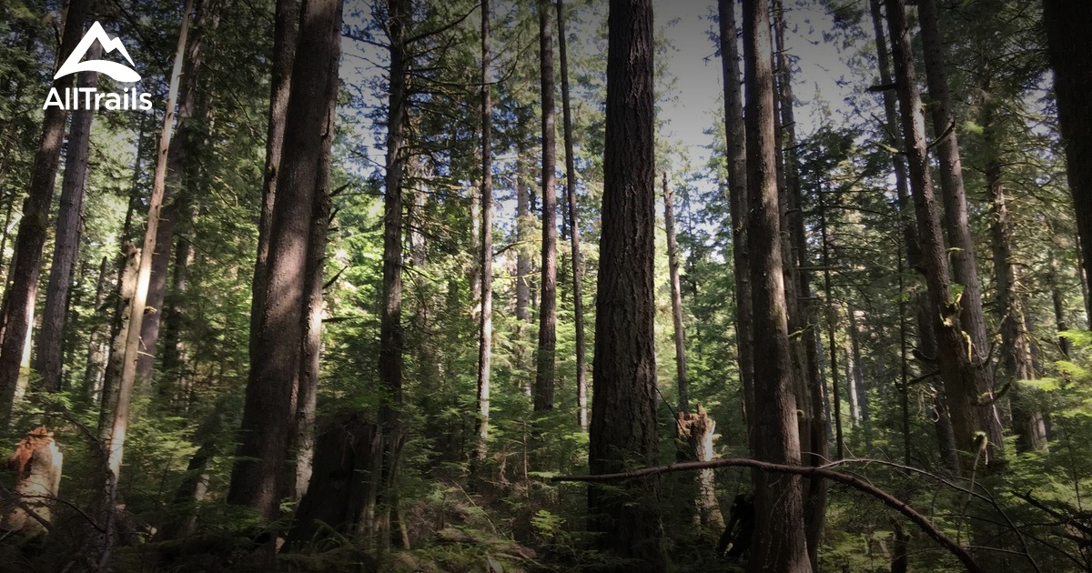 Best Hikes and Trails in Gambier Island Trust Area AllTrails