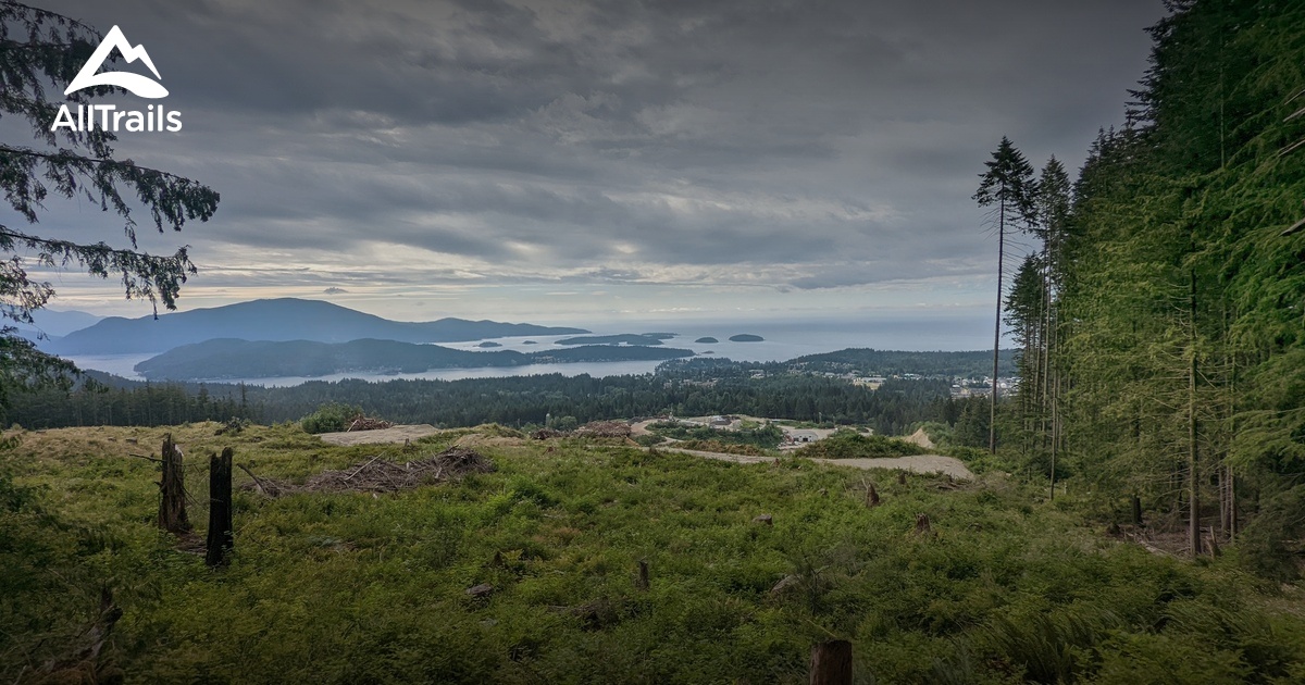 Best forest trails in Granthams Landing AllTrails