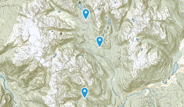 McGuire, British Columbia Map